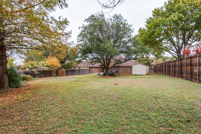 view of yard featuring a storage shed