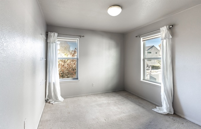 empty room featuring a healthy amount of sunlight and light carpet