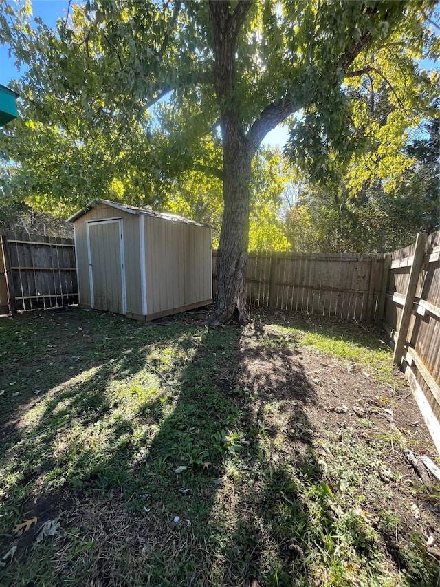 view of yard with a storage unit