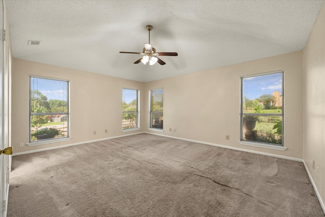 spare room featuring plenty of natural light, carpet floors, and a textured ceiling