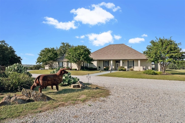 ranch-style home with a front lawn