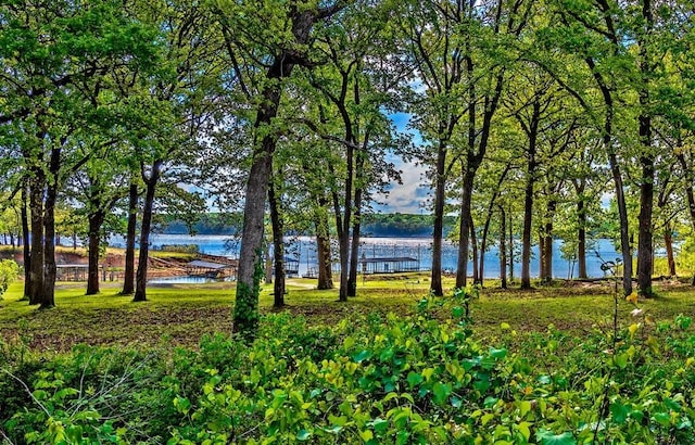 326 Glomin Ln, Pottsboro, TX 75076 - view of yard featuring a water view