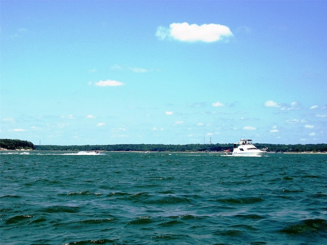 326 Glomin Ln, Pottsboro, TX 75076 - water view