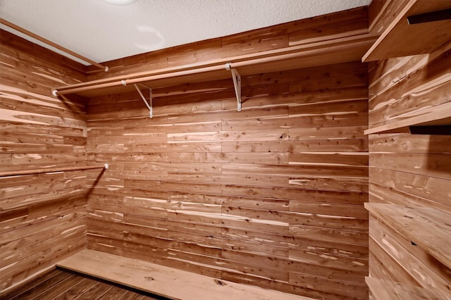 spacious closet featuring wood-type flooring