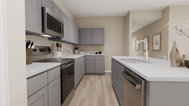 kitchen featuring appliances with stainless steel finishes, gray cabinets, light hardwood / wood-style flooring, and sink