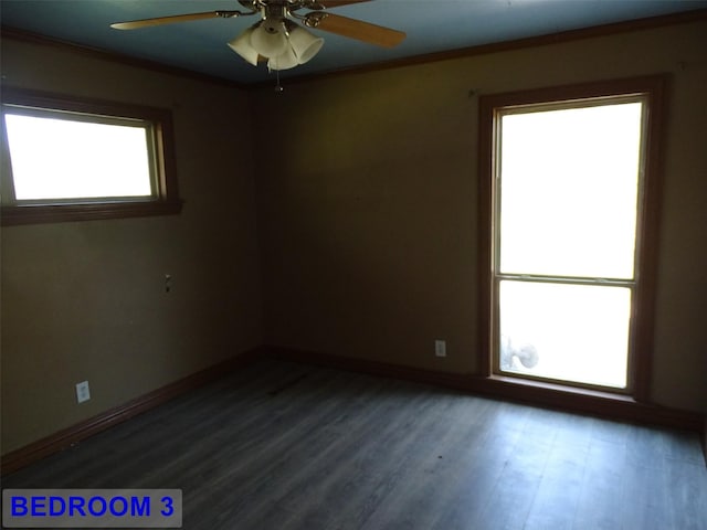 unfurnished room featuring dark hardwood / wood-style flooring, ceiling fan, and crown molding