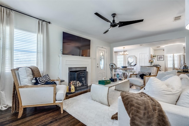 living room featuring ceiling fan with notable chandelier, a fireplace, dark wood finished floors, and visible vents