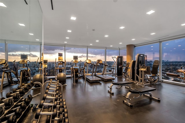 gym with expansive windows