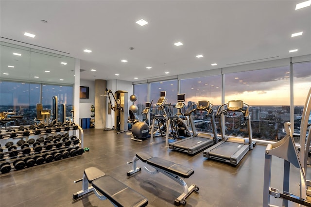 workout area with a wall of windows