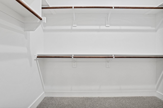 spacious closet with carpet