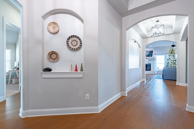 hall featuring a notable chandelier and wood-type flooring