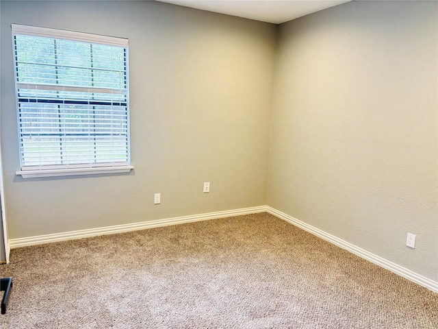 empty room featuring carpet and a wealth of natural light