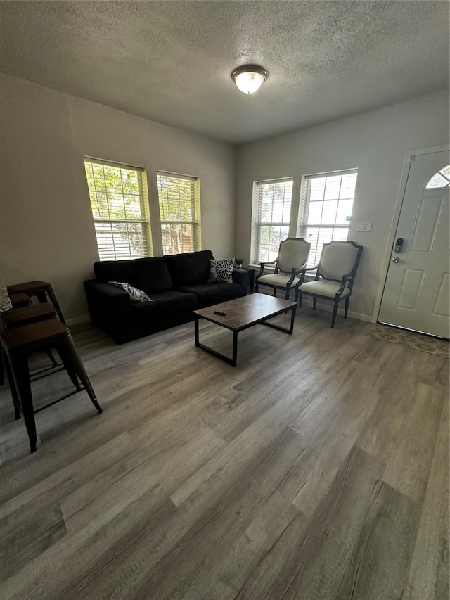 living room featuring hardwood / wood-style flooring and a textured ceiling