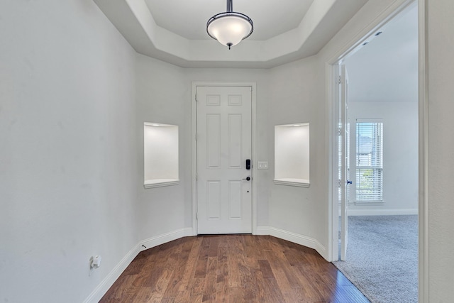 foyer featuring a raised ceiling and dark hardwood / wood-style flooring