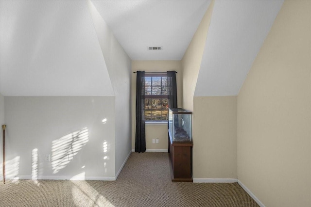 additional living space featuring carpet flooring