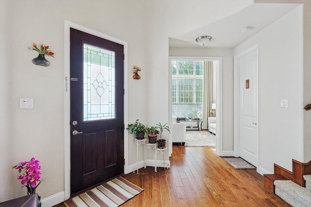 foyer featuring a healthy amount of sunlight and hardwood / wood-style flooring