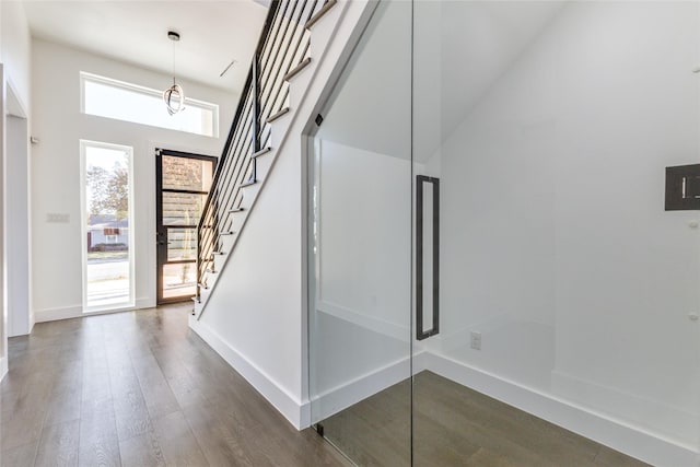 foyer with a high ceiling, dark hardwood / wood-style flooring, and plenty of natural light