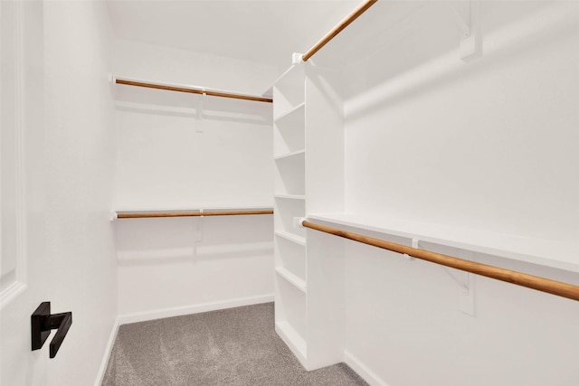 walk in closet with carpet