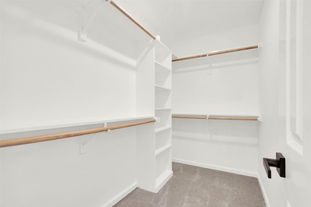 spacious closet with carpet