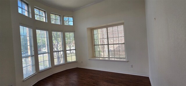 spare room featuring hardwood / wood-style floors, a healthy amount of sunlight, and ornamental molding