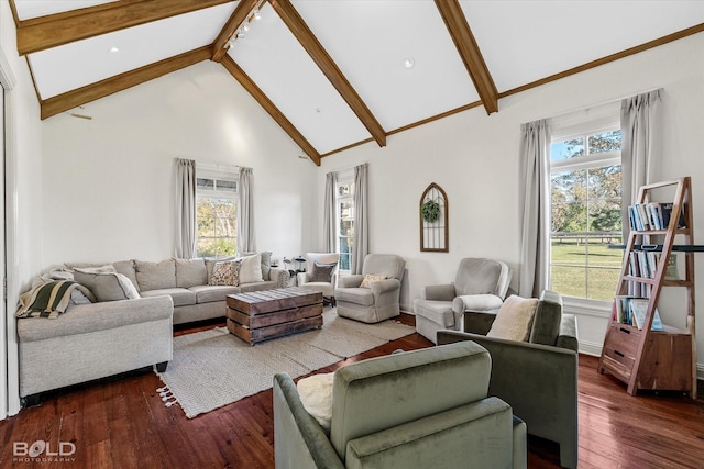 living room with dark hardwood / wood-style flooring, beam ceiling, a wealth of natural light, and high vaulted ceiling