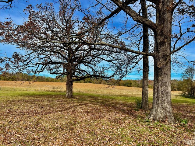 view of yard featuring a rural view