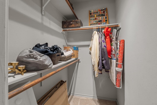 spacious closet featuring carpet floors