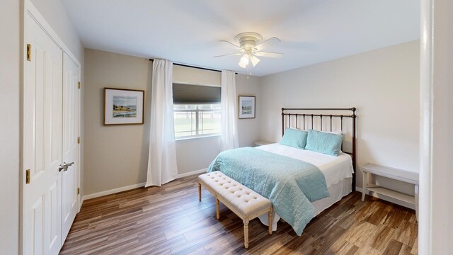 bedroom with ceiling fan, a closet, and wood-type flooring