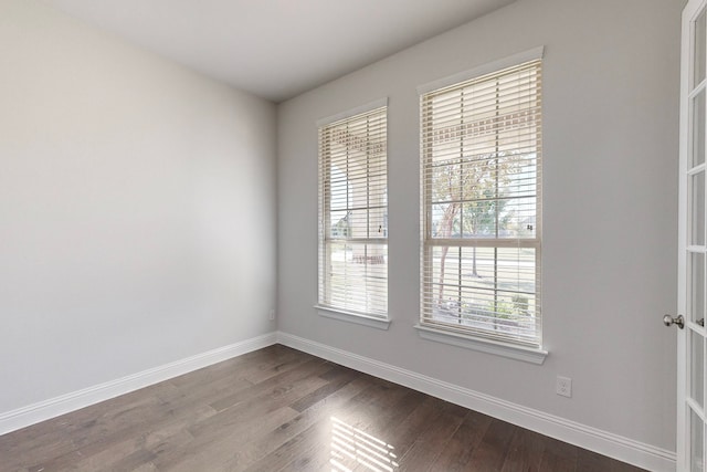 unfurnished room featuring a wealth of natural light and wood-type flooring