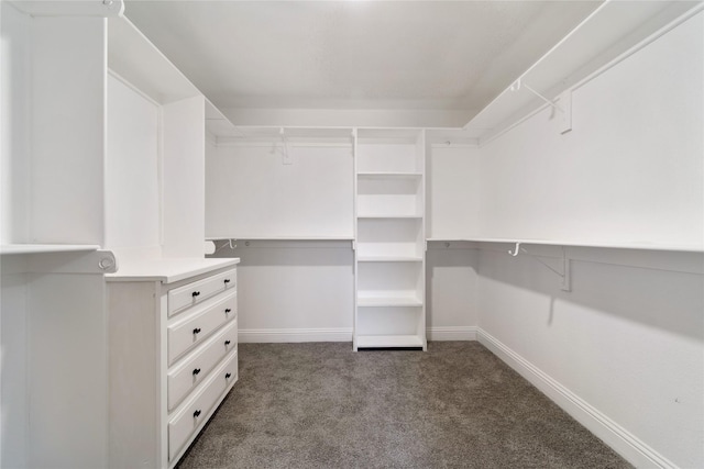 walk in closet featuring dark colored carpet