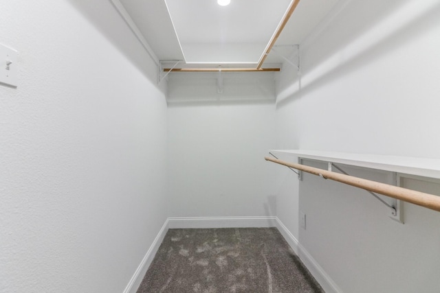 walk in closet with dark colored carpet