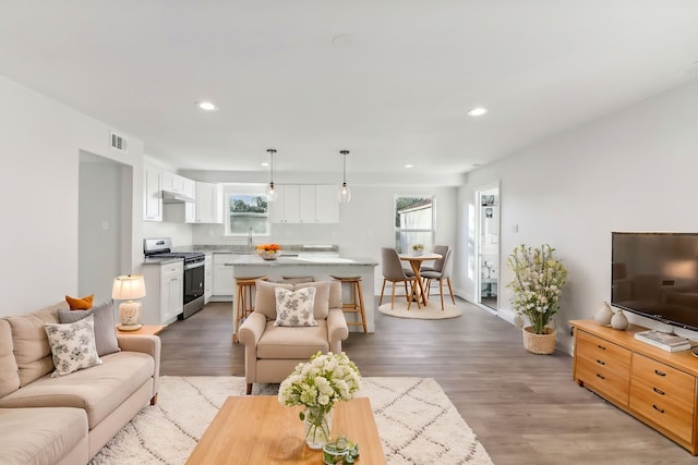 living room featuring sink and light hardwood / wood-style flooring