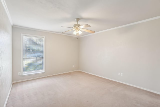 carpeted spare room with ceiling fan and ornamental molding