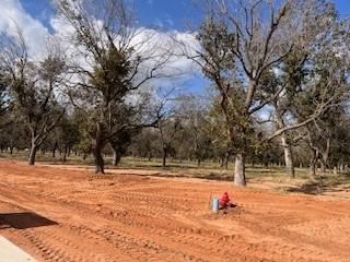 1006 E Landings N, Granbury TX, 76049 land for sale