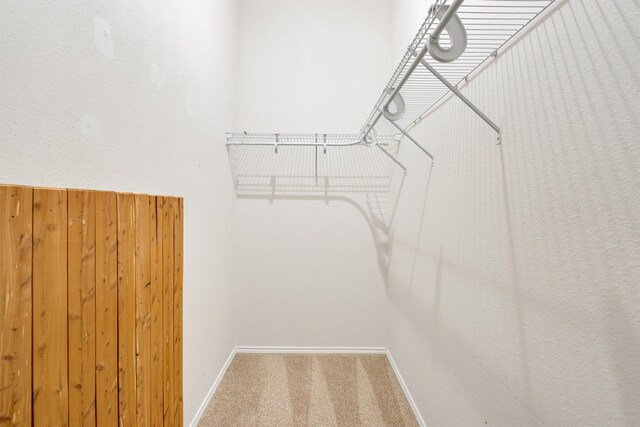 walk in closet featuring carpet flooring