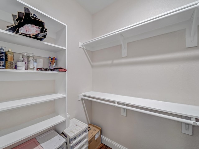 view of spacious closet