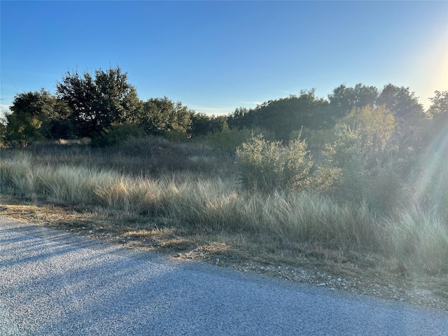 Listing photo 2 for TBD2 Feather Bay Dr, Brownwood TX 76801