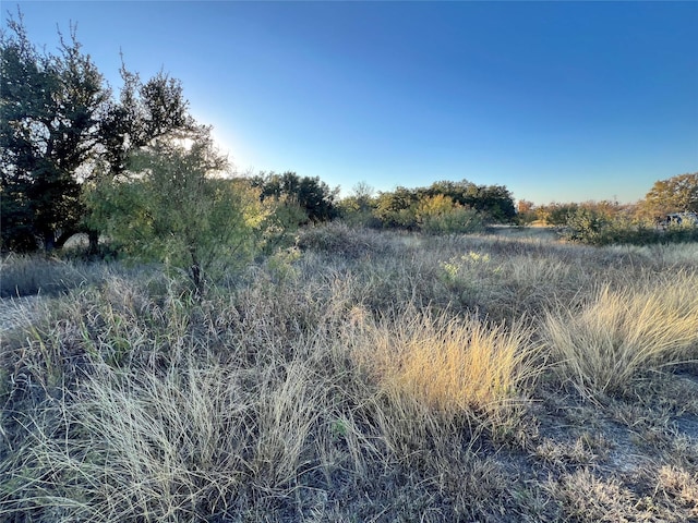 Listing photo 3 for TBD2 Feather Bay Dr, Brownwood TX 76801