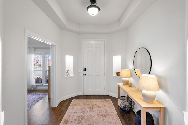 entryway with a raised ceiling and dark hardwood / wood-style floors