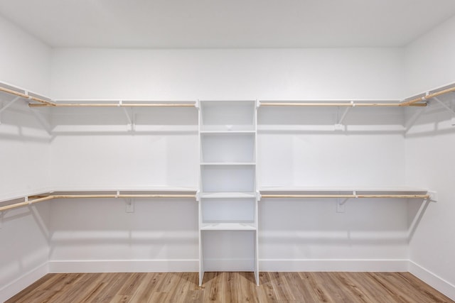 spacious closet featuring wood-type flooring