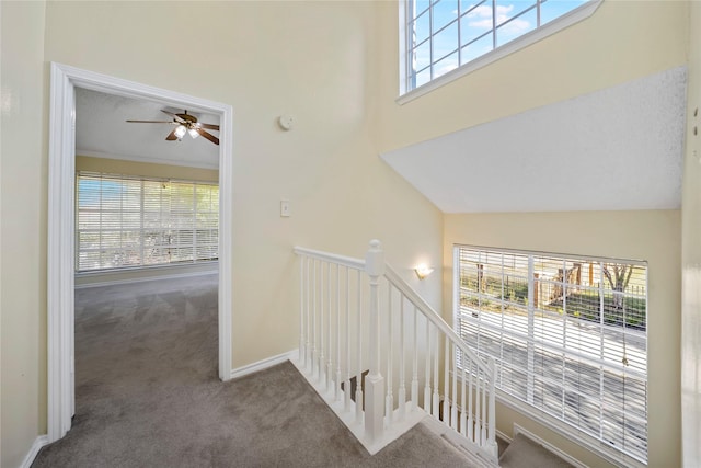 staircase with a healthy amount of sunlight, carpet floors, and high vaulted ceiling