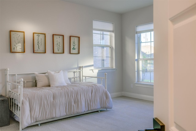 bedroom with carpet flooring