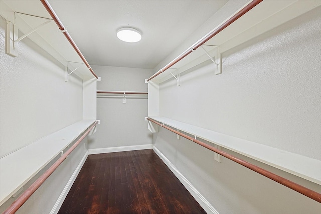 spacious closet featuring wood-type flooring