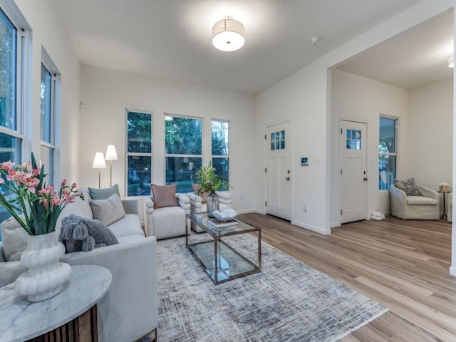 living room featuring light hardwood / wood-style flooring