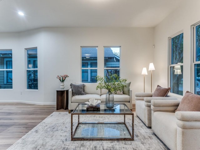 living room featuring hardwood / wood-style floors