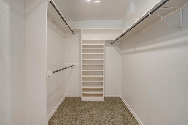 walk in closet featuring dark carpet