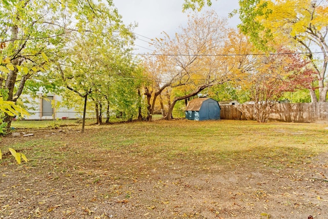 view of yard featuring a shed