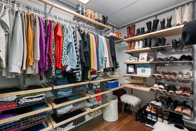 walk in closet with hardwood / wood-style flooring