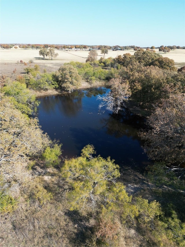 Listing photo 3 for 10015 County Road 477, Baird TX 79504