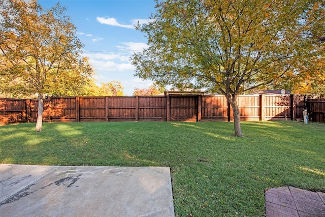 view of yard with a patio area